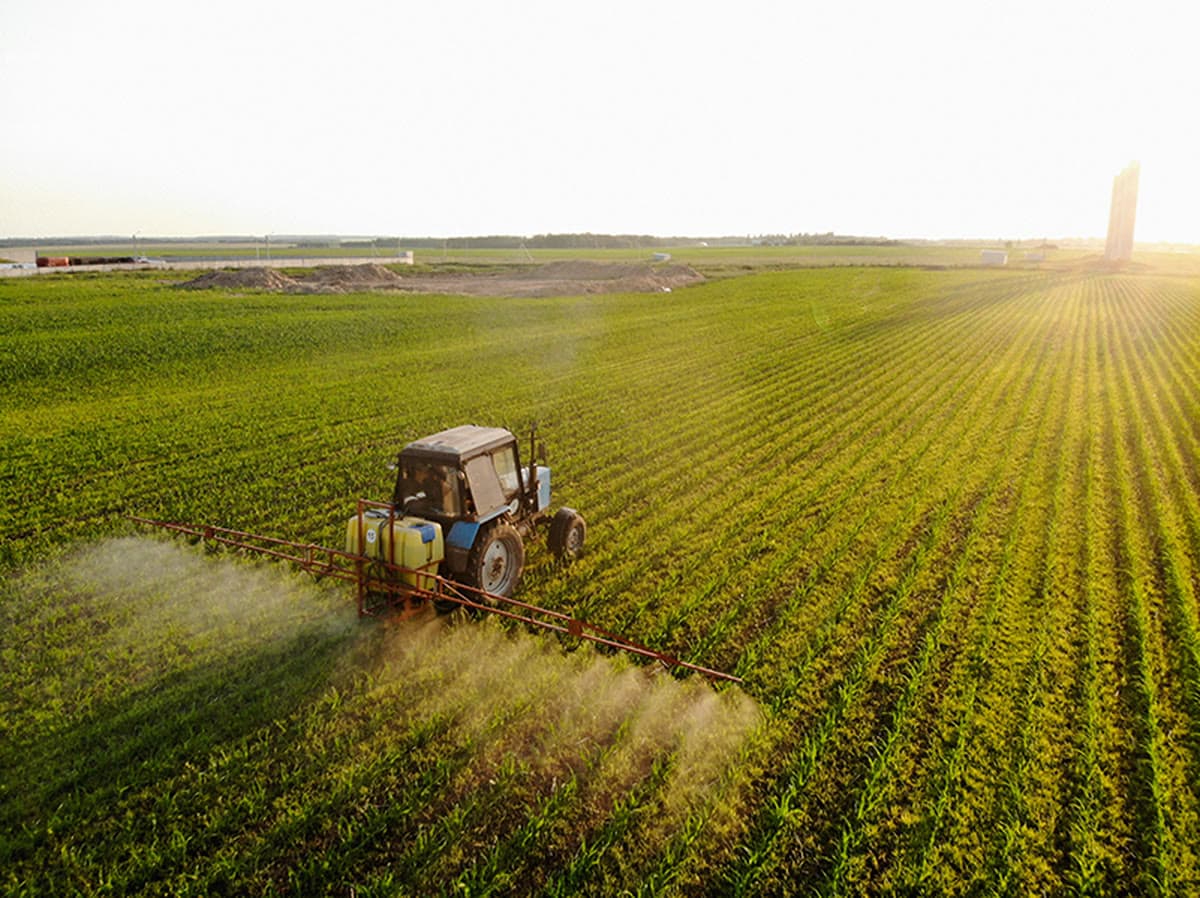 Producto agrícola listo para carga